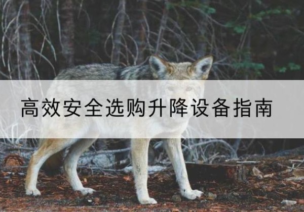 织金升降货梯厂家推荐-*安全选购升降设备指南