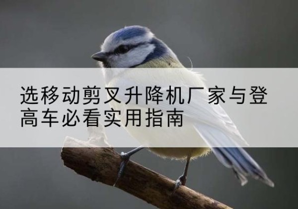 织金电动升降机厂家-选移动剪叉升降机厂家与登高车必看实用指南