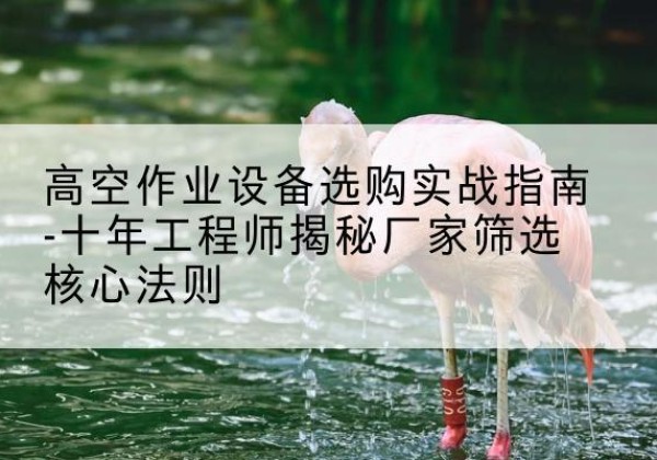 织金剪叉式升降机厂家-高空作业设备选购实战指南-十年工程师揭秘厂家筛选核心法则